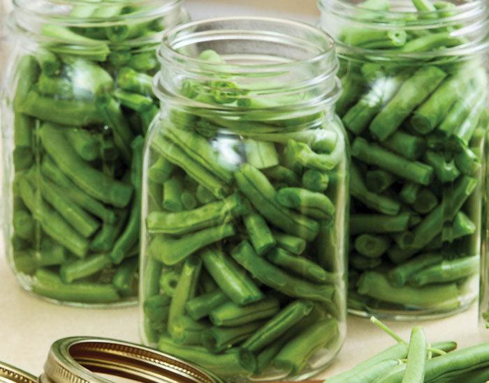 Pickled Green Beans - Nuwave