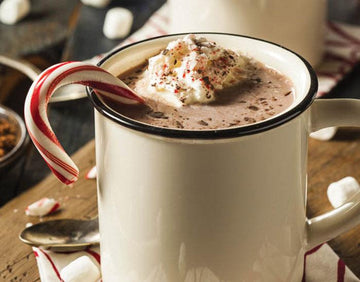 Peppermint Hot Chocolate - Nuwave