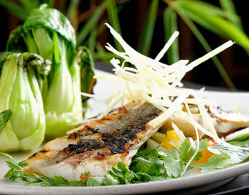 Miso-Glazed Sea Bass with Bok Choy