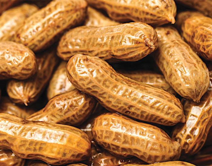 Boiled Peanuts - Nuwave