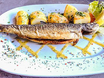 Baked Trout with Oregano - Nuwave