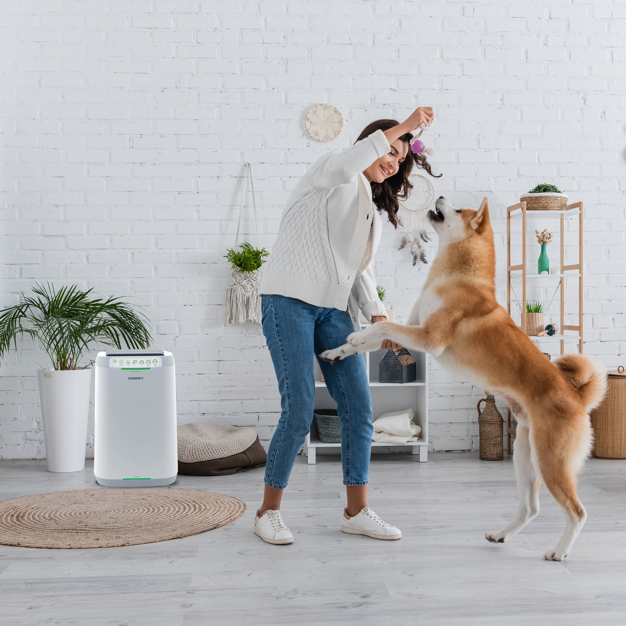 NuWave OxyPure Air Purifier Guards Indoor Air for Happy Pets