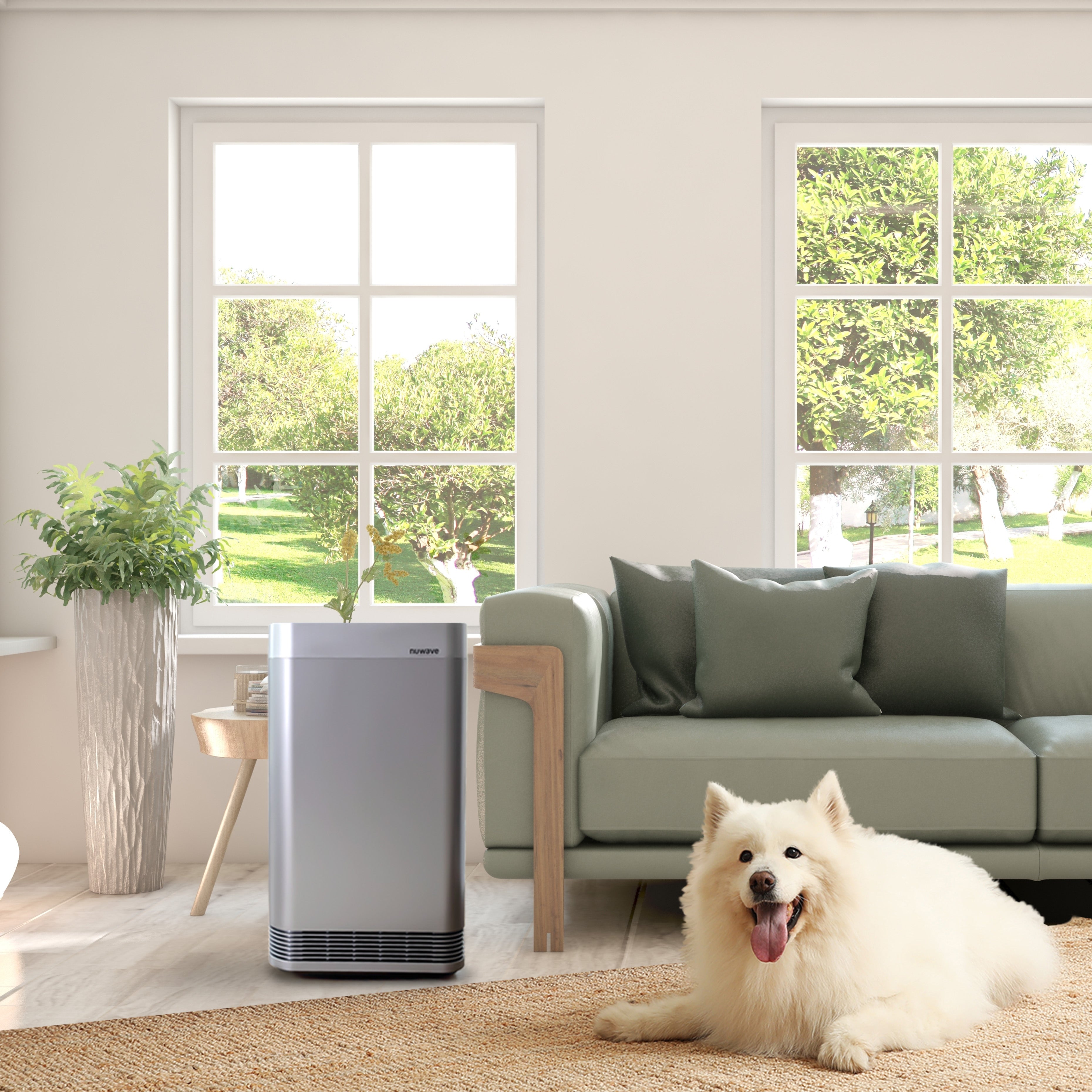 Home air filter reviews online