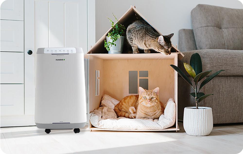 Pet purifier online