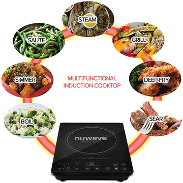 BEST Induction Cooktop Portable on a Budget? WE FOUND IT!