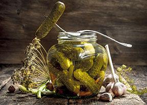 Indian Spiced Fennel Pickles - Nuwave